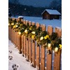 C9 Christmas Lights Outdoor 25FT - Commercial Grade LED String