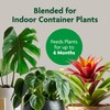 Miracle-Gro Indoor Potting Mix, Blended for a Variety of Houseplants,