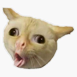 Leyland Designs Cat Coughing Sticker Outdoor Rated Vinyl Sticker Decal for Windows, Bumpers, Laptops or Crafts 5"