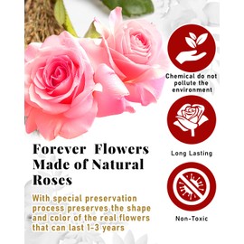 Changshunqi Flowers Preserved Roses Gifts for Women, 16 Pink Forever Flowers Womens Birthday Gifts for Friends Women Wife Mothers Day Valentine's Day Preserved Flower Rose Gift for Mom Her Wife gf