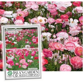"Double Shirley Mix" Poppy Seeds for Planting, 3000+ Flower Seeds Per Packet, (Isla's Garden Seeds), Non GMO & Heirloom Seeds, Botanical Name: Papaver rhoeas, Great Poppies for a Gift