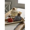 Mud Pie Corn Husk Rope Pumpkin, Medium Table Sitters