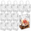 Oomcu 18 Pack Clear Plastic Gift Bags with Handle,9.06" x
