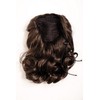 WIG ME UP - JL-3023-8 Hairpiece ponytail with comb and