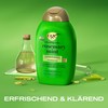 OGX Rosemary Mint Conditioner 385 ml