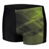 ARENA Men's Shadow Swimming Trunks