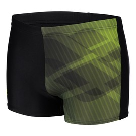 ARENA Men's Shadow Swimming Trunks