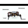 ACEBOTT Spider Robot DIY Kit - Bionic Quadruped - Programmable