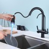 ICREEH Matte Black 2 in 1 Kitchen Sink Faucet -
