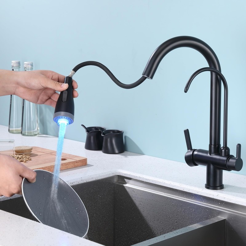 ICREEH Matte Black 2 in 1 Kitchen Sink Faucet -