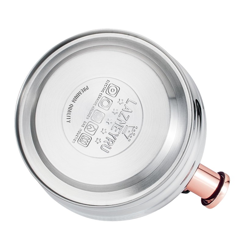 Tea Kettle for Stove Top Whistling Teapot, 3.2Q Tea Pot