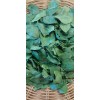 Homemade Dried Organic Jujube Leaves 2 oz
