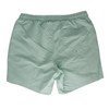 Surf Monkey Quick-Dry Men's Swimming Trunks Volley Shorts, aqua