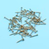 SUPVOX 100pcs Copper Nails for Killing Trees Stump Removal Spikes