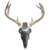 Do-All Outdoors Dead Deer Iron Buck, Small,Silver
