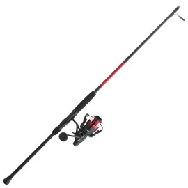 Penn Fierce IV Spinning Reel and Fishing Rod Combo
