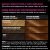 Garnier Olia, Permanent Hair Dye, Ammonia-Free Hair Color, 5.3 Medium