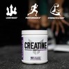 FINAFLEX PURE CREATINE, Unflavored - 500G - Promotes Muscular Strength,