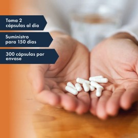 Reishi capsulas ultra concentrado 30:1-300 cápsulas hongo adaptogenos ganoderma myco lucidum Reishi extracto hongos adaptógenos 100% natural