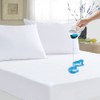 Dudu N Girlie Waterproof Single Mattress Protector 100% Cotton Terry