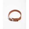 Wild One Collar - X Large Cocoa