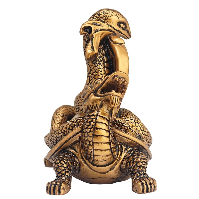 Feng Shui 2025 Snake and Dragon Turtle Wealth Prosperity Luck