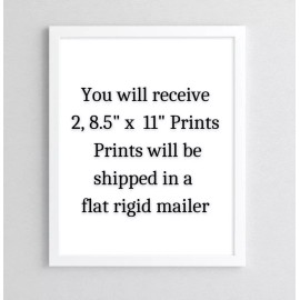 Wildflowers Set of 2 Art Prints, Poppies and Blue Wildflowers Wall Art Prints