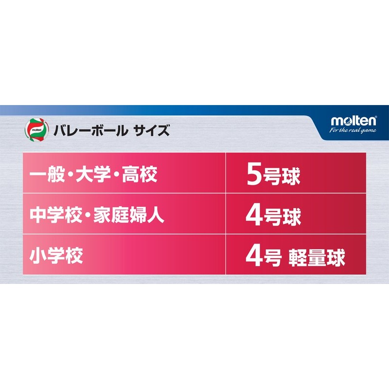 Molten V4M4000 Volleyball No. 4 Practice Ball Model