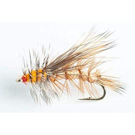 Blue Wing Olive Stimulator Dry Fly - 6 Pack (Tan, 12)