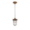 Trio Leuchten Birte 303800162 LED Pendant Light Antique Copper Metal