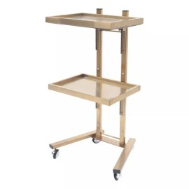 2-Tier Gold Salon Trolley with Double Storage Tray Stainless Steel for Beauty Spa Usecolor: as picture Color