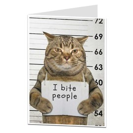 LimaLima Funny Cat Birthday Card I Bite People Perfect For Men Women Mum Dad Or Any Cat Lady