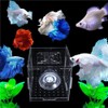 Wanfoou 2 Pcs Acrylic Fish Breeding Box, Transparent Aquarium Isolation