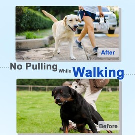 Prong Training Collar for Dogs, Adjustable Dog Pinch Collar with Quick Release Buckle, Dog Collar for Small Medium Large Dogs, Extra 2 Links and Caps (M(14-18" Neck, 3.0mm))