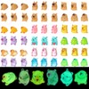 GSrenyu 54 Pack Capybara Resin Animals Stuff, Mini Luminous in