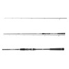 DAIWA Prorex S Spin, 2.40 m, 5-21 g, 2 Pieces,