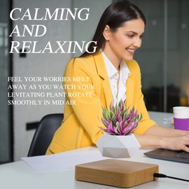 Babook Levitating Air Bonsai Pot, Cool Stuff,Rotation Flower Pot Planters, Potted Plant Home Desk Decor in Flower Pots & Planters from Home & Garden on (Light Color)