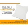 npluseins Double Pack Cotton Cushion Covers Modern Home Decoration in