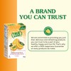 True Lime and True Orange Bulk Dispenser Packets 100ct (2pk