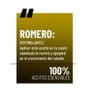 OLEUM VITAE Aceite Esencial de Romero Rosmarinus Officinalis 100% Puro