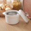 Bacon Grease Container Keeper with Crystal Lid and Strainer, 17