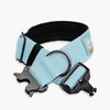 DF Co. Tactical Dog Collar | Comfortable & Secure with