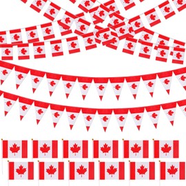 HOWAF Canada Day Party Decorations Supplies- Canada National Bunting Banner, Canada Day Pennant Banner, Canada Day Hand Flag for Canada Patriotic Events Festival Sports Competition Supplies