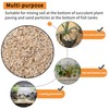 Tinyunicorn 5lb Mixed Sand Rocks Pebbles Pumice Potting Soil Amendment