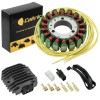 Caltric Stator Magneto With Regulator For Kawasaki Lakota Sport 300