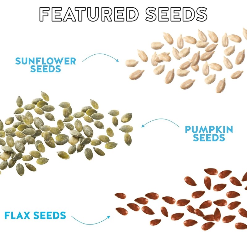 Blakes seed bas Blake's Seed Based Bar Chocolate Chip Rice