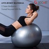 GOCART WITH G LOGO Anti Burst Yoga Ball & Gym