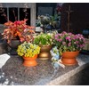 KADAX Flower Bowl with Base, Weatherproof Plastic Plant Bowl, Ball