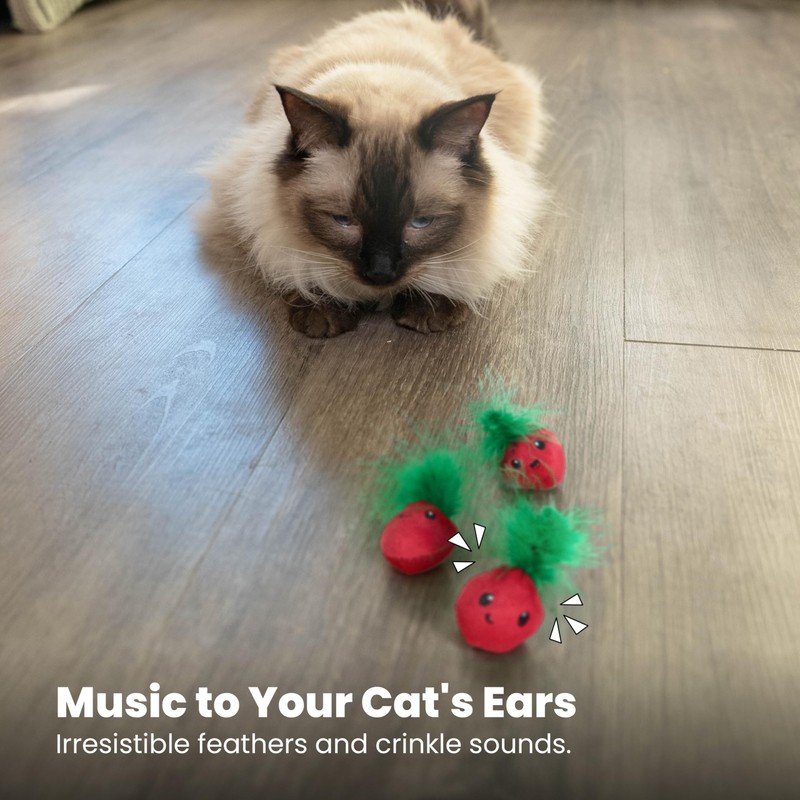 Catstages Strawbabies 3-Pack Catnip Cat Toys for Dental Health, Feather