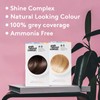Josh Wood Permanent Colour 7.0 (Lightest Brown) Celebrity-approved ammonia-free -